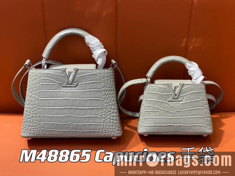 LV Replica Bags Capucines M48865 21x14x8cm gf2