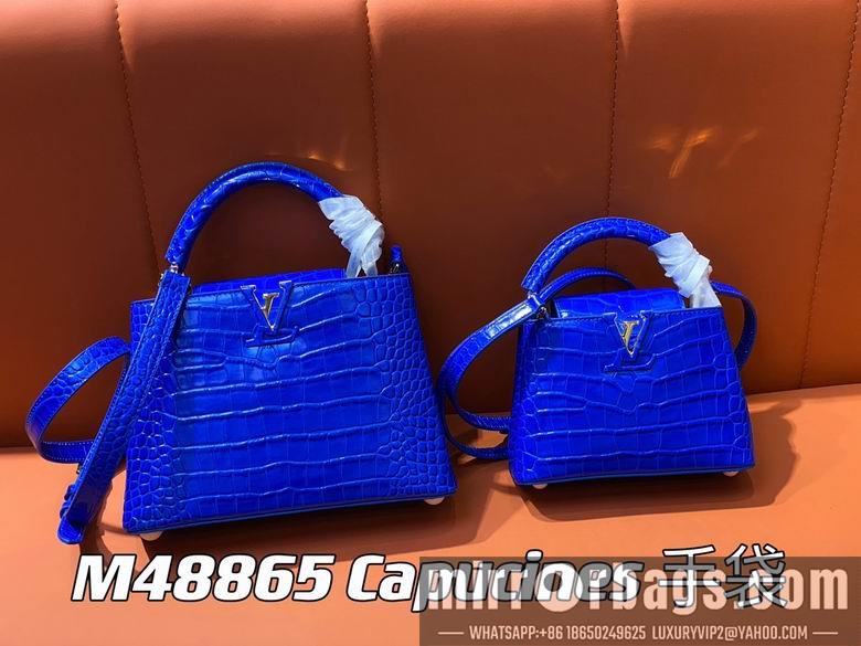 LV Replica Bags Capucines M48865 21x14x8cm gf4