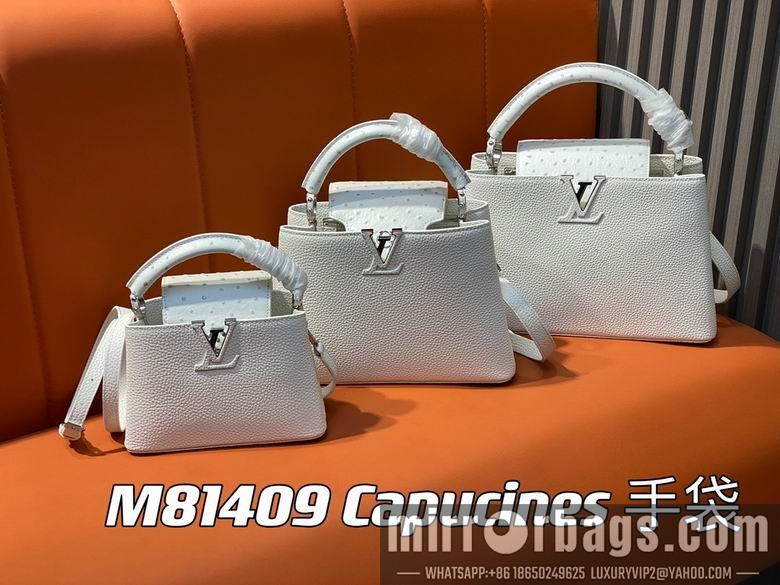 LV Replica Bags Capucines M81409 21x14x8cm gf3