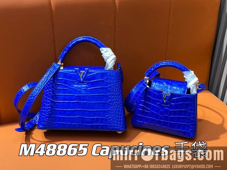 LV Replica Bags Capucines M48865 21x14x8cm gf4