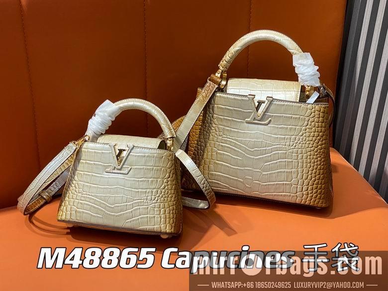 LV Replica Bags Capucines M48865 21x14x8cm gf5