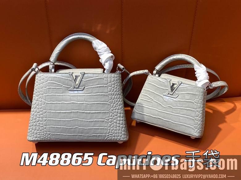 LV Replica Bags Capucines M48865 21x14x8cm gf2