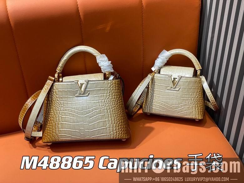 LV Replica Bags Capucines M48865 21x14x8cm gf5