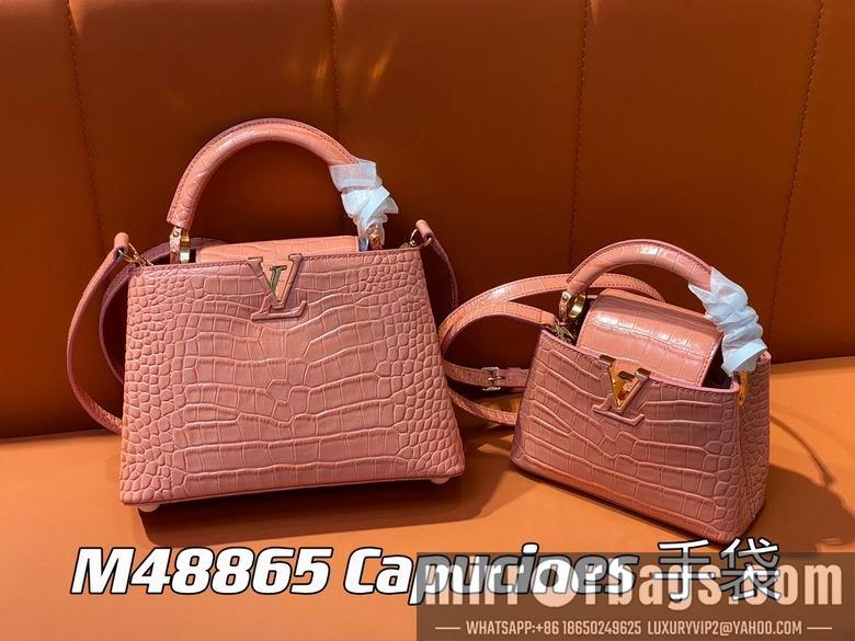 LV Replica Bags Capucines M48865 21x14x8cm gf3