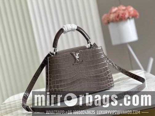 LV Replica Bags Capucines BB N93163 M48865 27x18x9cm gf