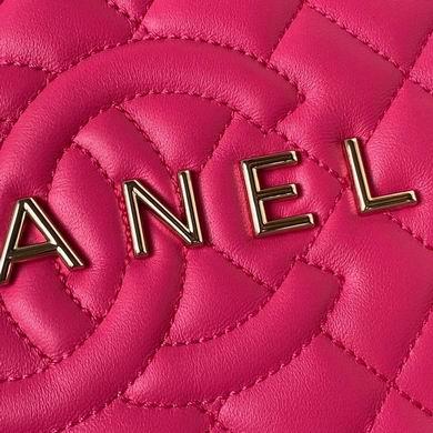 Chanel Replica Bags AS4579 22.5X6cm BL 4colour