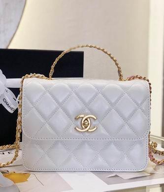 Chanel Replica Bags AS3886 20X14X7.5cm WO 2colour