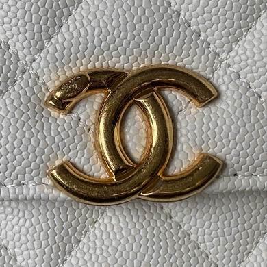 Chanel Replica Bags AP3019 19X12X3.5cm BL 2colour