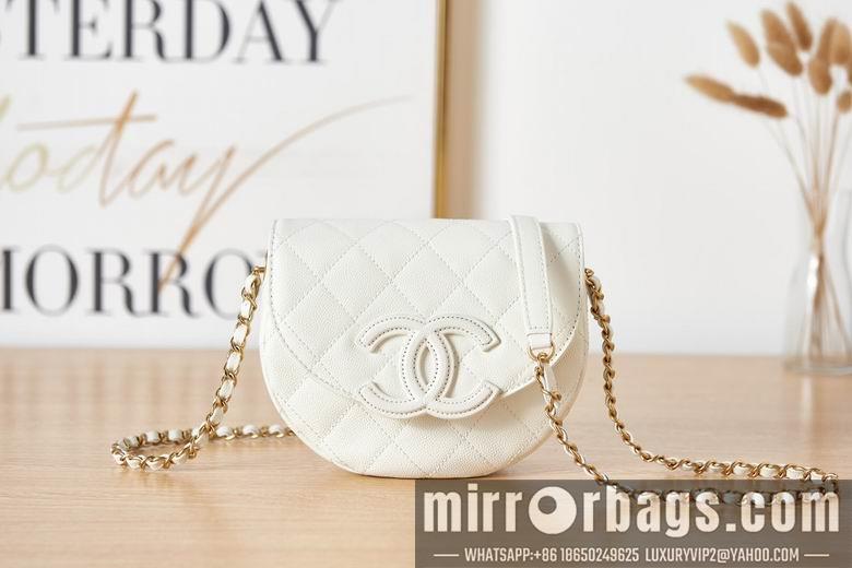 Chanel Replica Bags AS3867 19X16X7cm BL  2colour