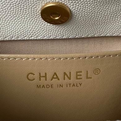 Chanel Replica Bags AS3710 17X19X6cm BL 3colour-1