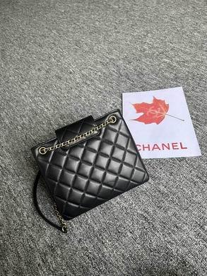 Chanel Replica Bags AS4596 17.5X20X5cm BL