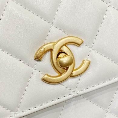 Chanel Replica Bags AS3886 20X14X7.5cm WO 2colour