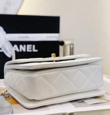 Chanel Replica Bags AS3886 20X14X7.5cm WO 2colour