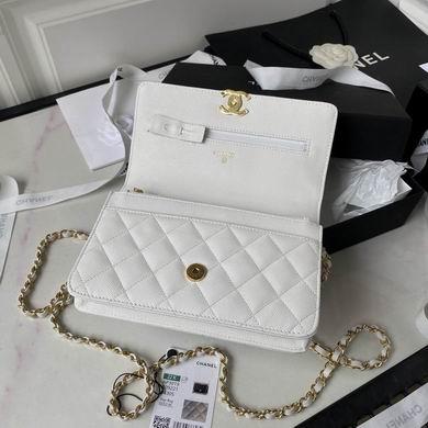 Chanel Replica Bags AP3019 19X12X3.5cm BL 2colour