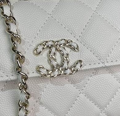 Chanel Replica Bags AS3828 18.5X10.5X5cm BL 2colour