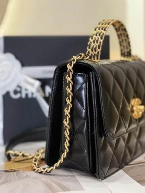 Chanel Replica Bags AS3886 20X14X7.5cm WO 2colour