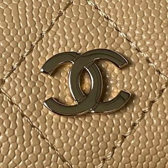 Chanel Replica Bags AP3573 18X13X9cm BL 2colour-1