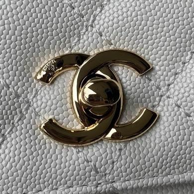 Chanel Replica Bags AS2215 13X19X9cm BL 3colour