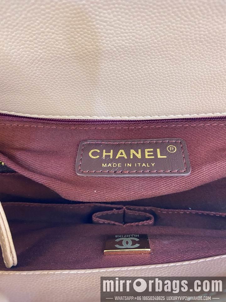 Chanel Replica Bags AS92990 21x14x10cm al 19