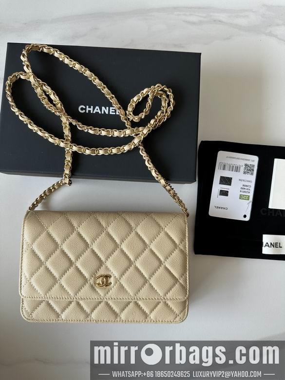 Chanel Replica Bags 0250 19X12X3cm BL 2