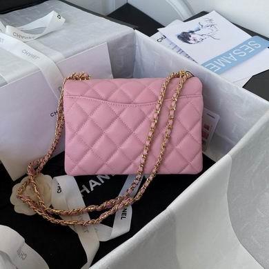 Chanel Replica Bags AS3580 23cm AL 5