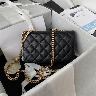 Chanel Replica Bags AS3393 14x22x8cm AL 1