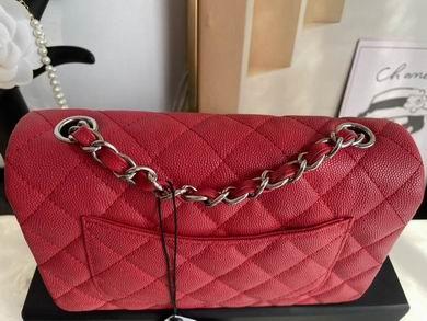 Chanel Replica Bags 01116 20cm BL 7