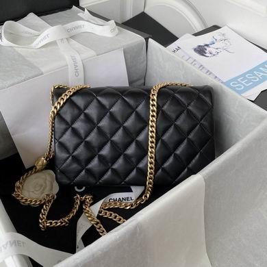 Chanel Replica Bags AS3609 16x25x10cm AL 1