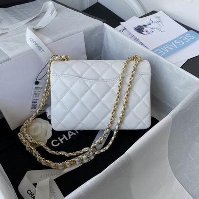 Chanel Replica Bags AS3580 23cm AL 4