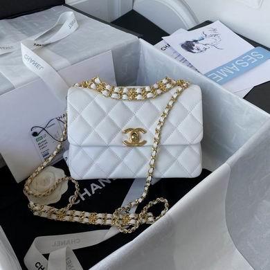 Chanel Replica Bags AS3580 23cm AL 4