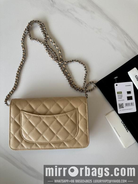 Chanel Replica Bags 0250 19X12X3cm BL 4