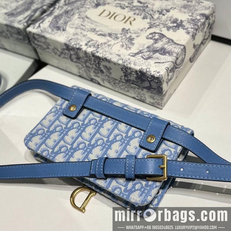 Dior Replica Bags S5619 17X10X3.5cm CC 2colour