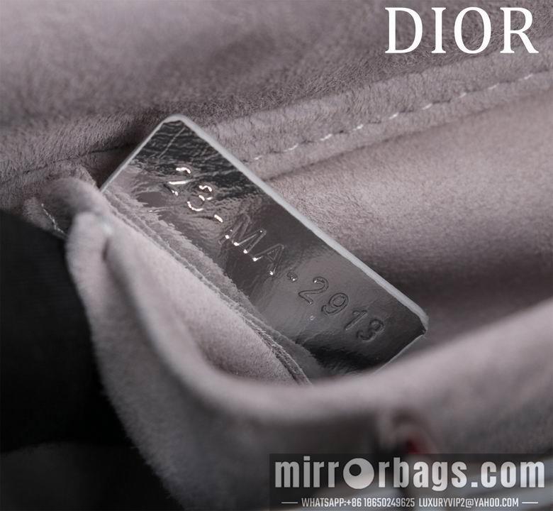 Dior Replica Bags M0541 22X12X6.5cm BG 3colour