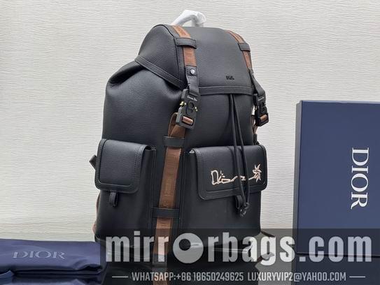 Dior Replica Bags Dior 1ESBA163黑色全皮绣花 43x51x20 cm wz