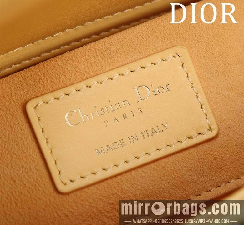 Dior Replica Bags M0541 22X12X6.5cm BG 2colour