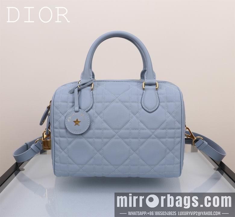 Dior Replica Bags 1365 25X19X16cm