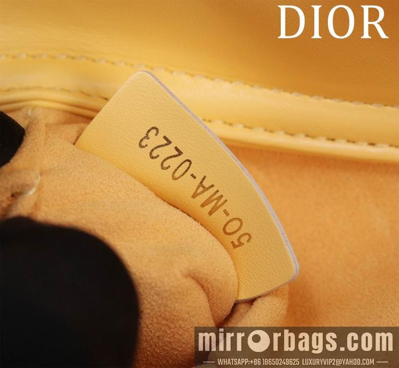 Dior Replica Bags M0541 22X12X6.5cm BG 2colour