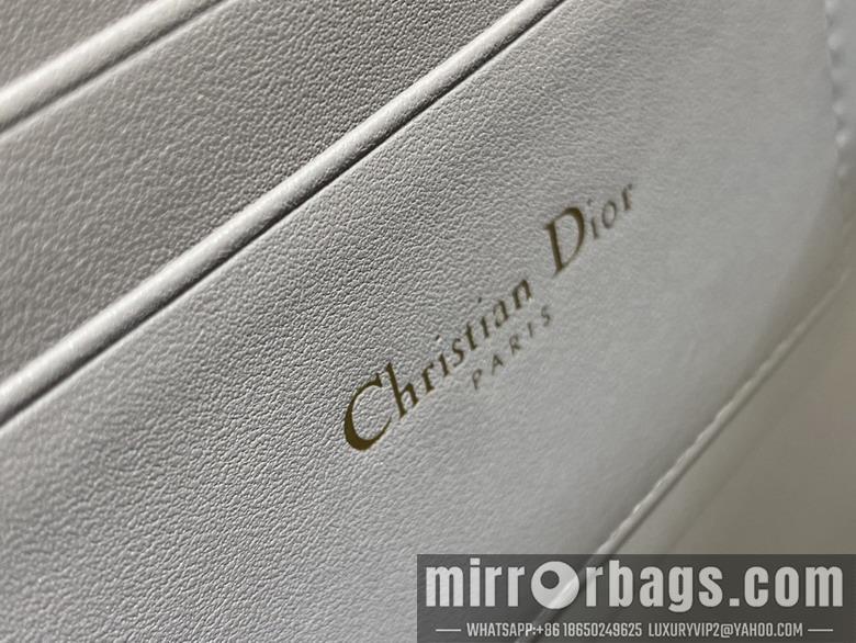 Dior Replica Bags Dior 0604 21x11x5cm wo