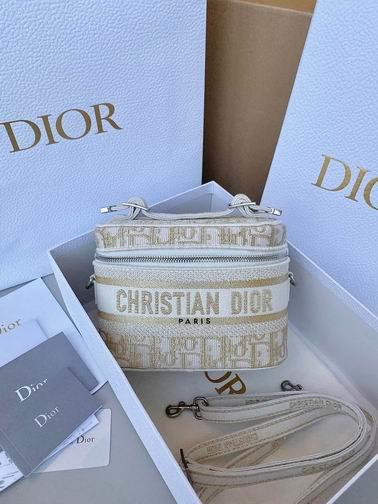 Dior Replica Bags Dior 金丝刺绣 18.5x13.5x10.5cm  wz