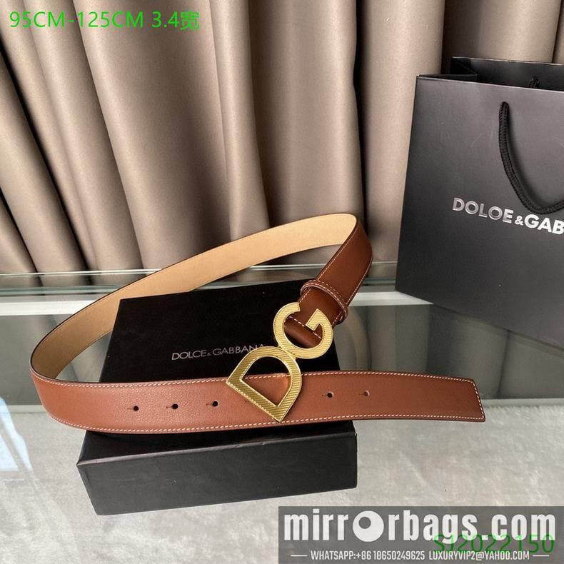 Replica DG Belt 34mmX95-125cm 7D02