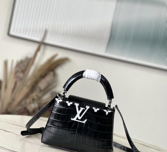 LV Replica Bags Cap N93419 21x14x8cm.