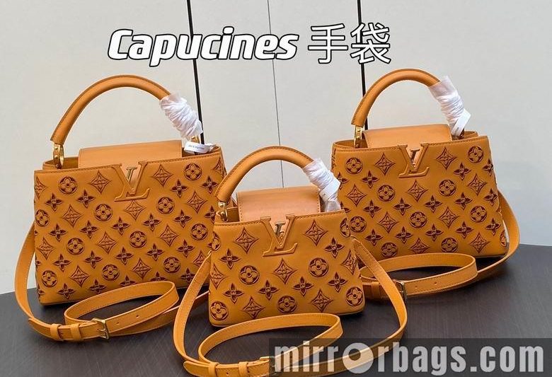 LV Replica Bags Capucines M22863 21x14x8cm gf3色