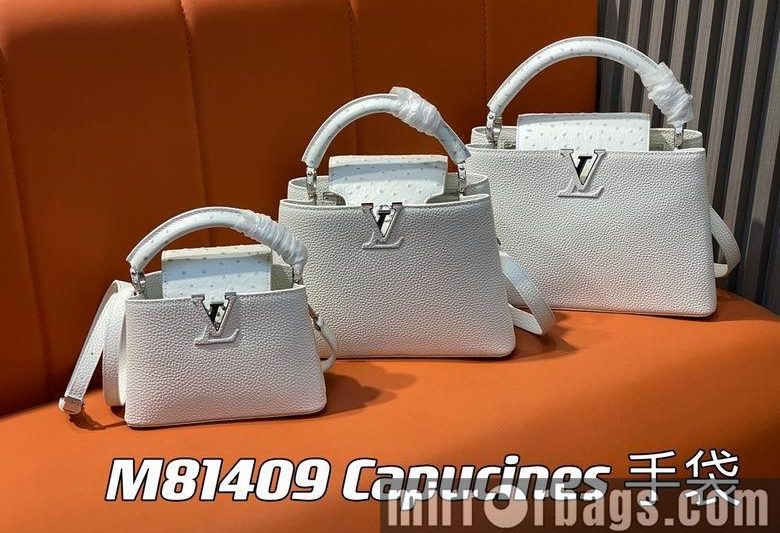 LV Replica Bags Capucines M81409 21x14x8cm gf3