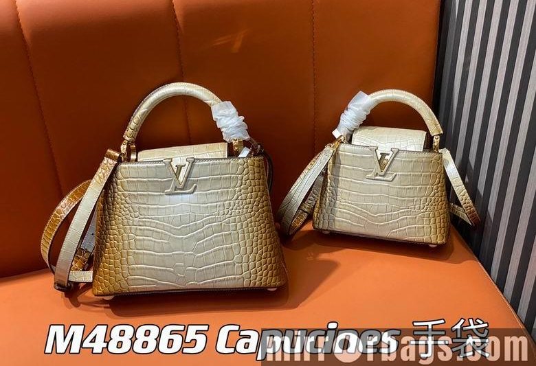 LV Replica Bags Capucines M48865 21x14x8cm5