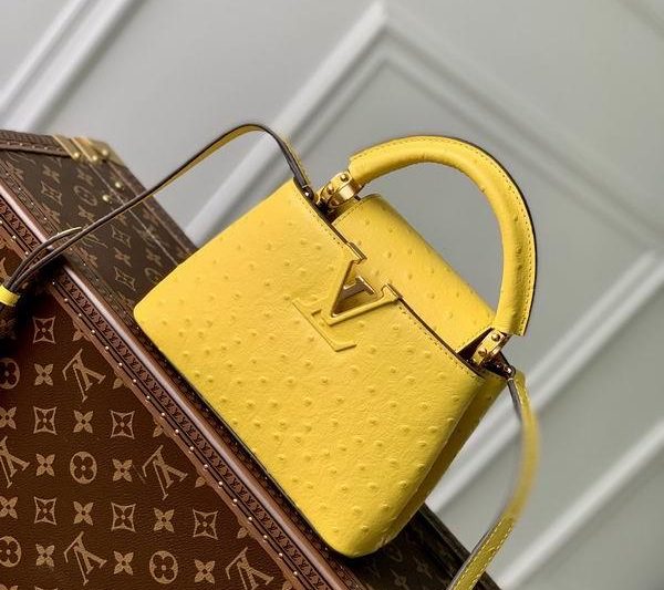 LV Replica Bags Capucines M93483 21x14x8cm gf6色