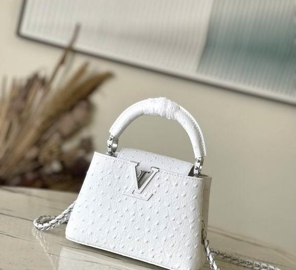 LV Replica Bags Capucines N48865 21x14x8cm gf2