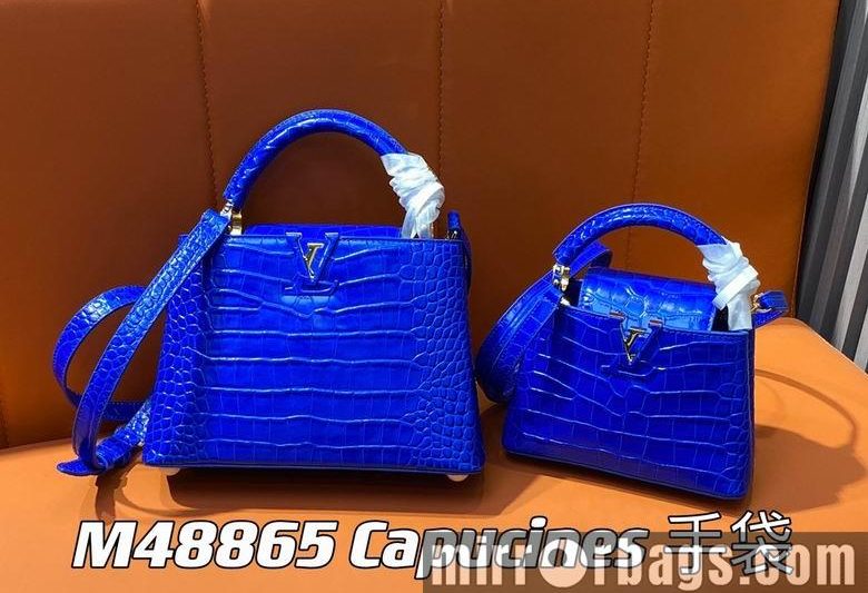 LV Replica Bags Capucines M48865 21x14x8cm gf4