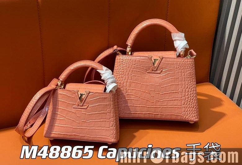 LV Replica Bags Capucines M48865 21x14x8cm gf3