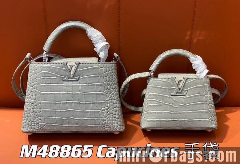 LV Replica Bags Capucines M48865 21x14x8cm