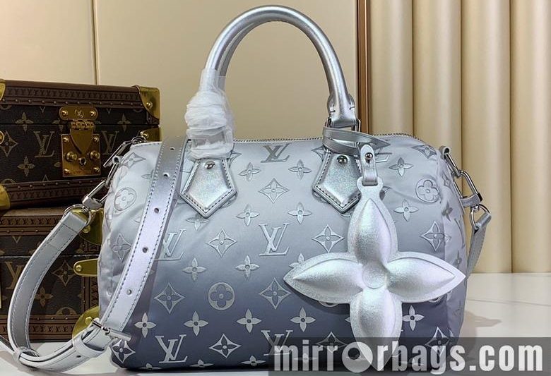 LV Replica Bags Speedy M11848 25x19x15cm